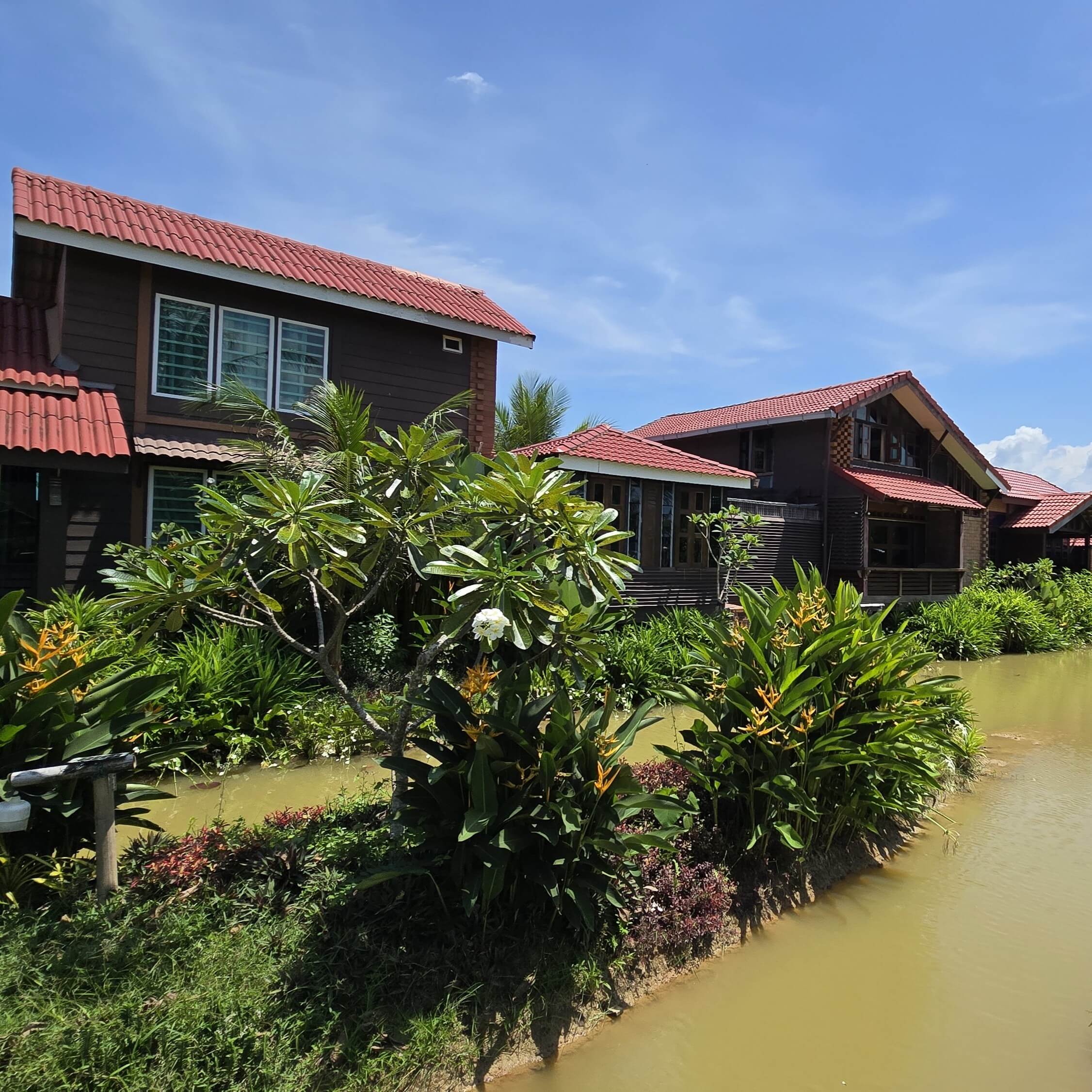 villa sawah suasana 5 (1)