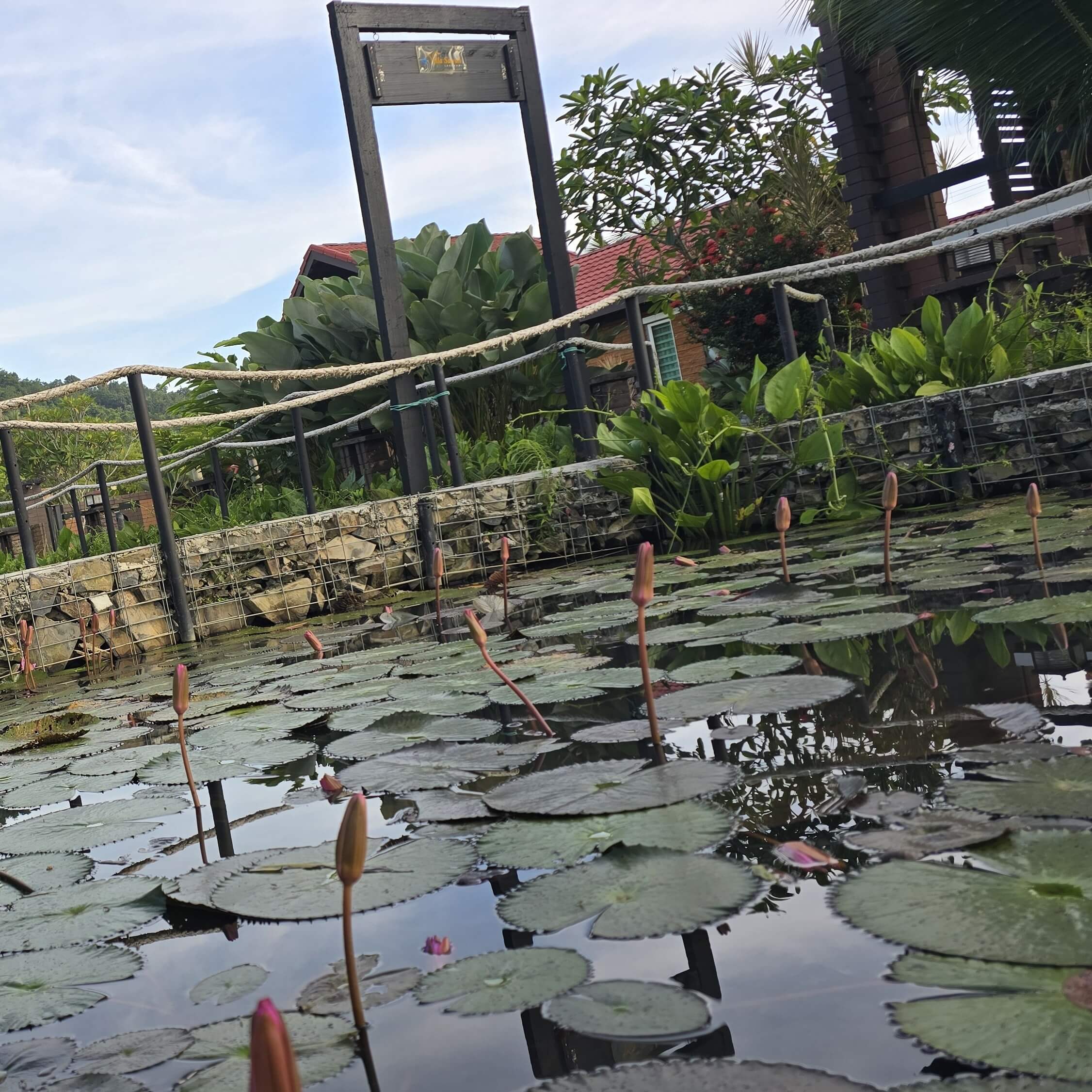 Villa Sawah Suasana 1