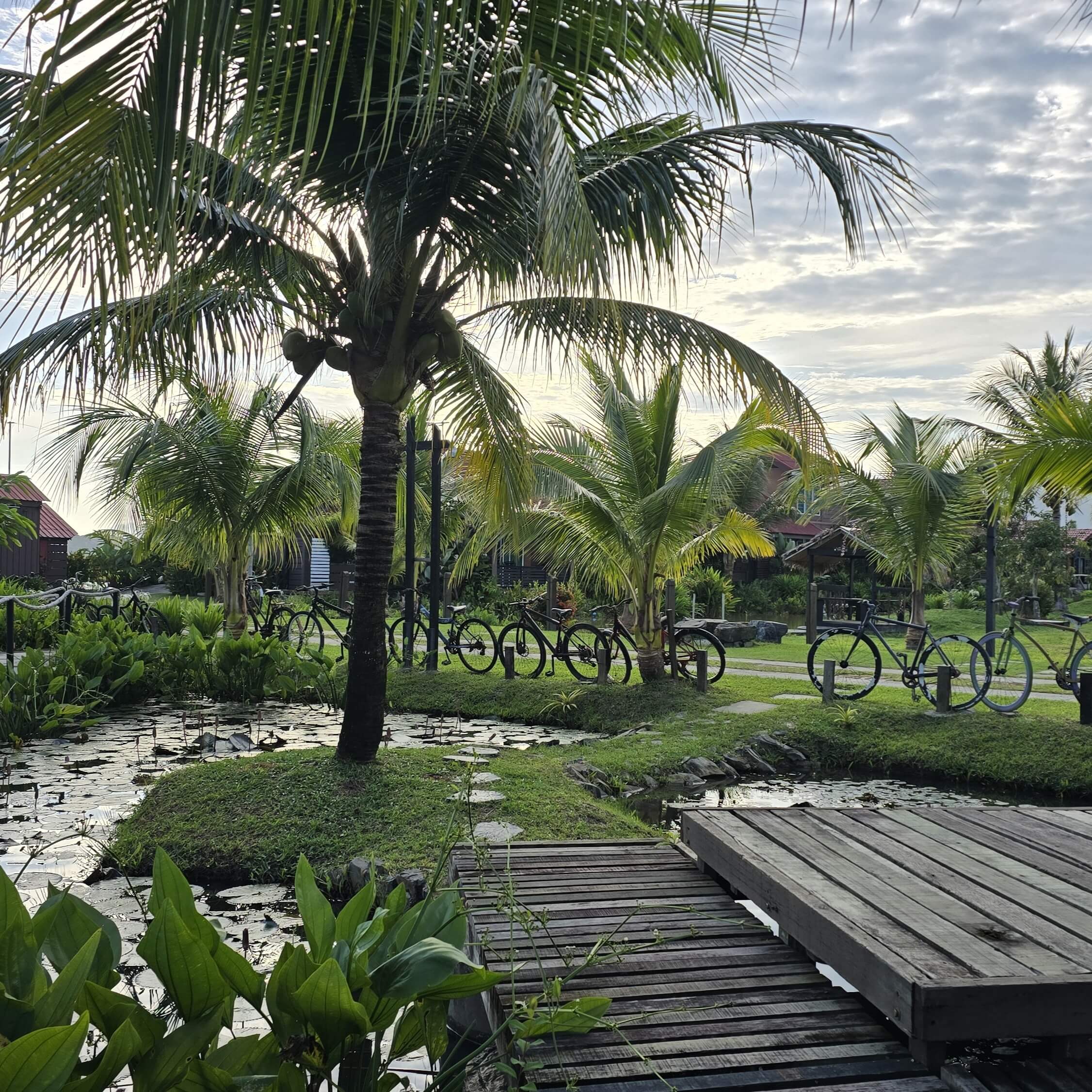 Villa Sawah Suasana 4