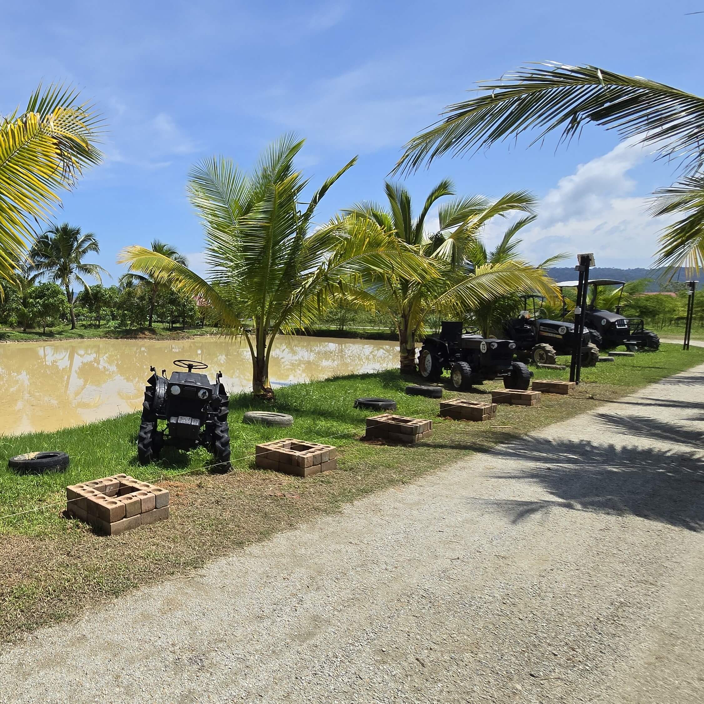 Villa Sawah Suasana 6